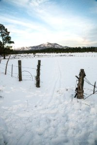 20181204-fs-kaibab-lsc-0988 46233398125 o