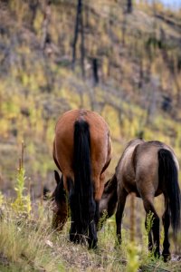 20190926-fs-lsc-0947 49751857236 o