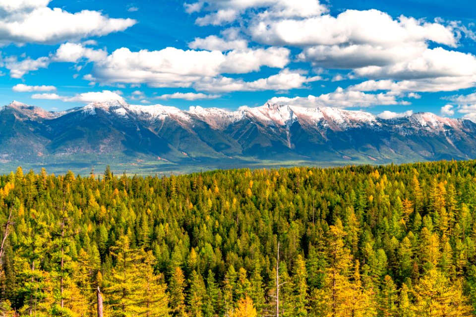 20190329-FS-FlatheadNF-YFYF-016