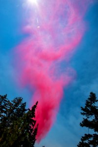 20160823-FS-Sequoia-LSC-094 photo