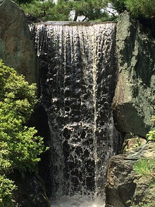 Waterfall park forest