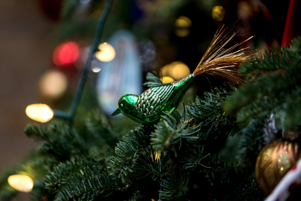 20181204-FS-SecPerdueCapXmas-TEF-031