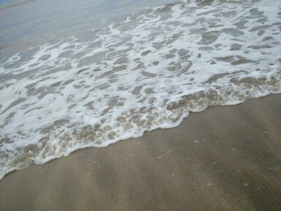 Espuma del mar photo