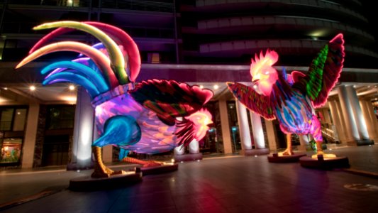 Roosters @ Lunar New Year at Sydney Lunar Festival 2019