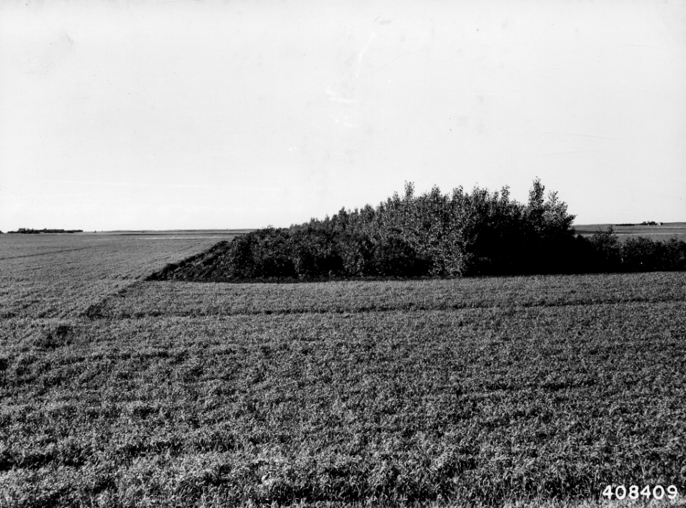 19410620-FS-North Dakota-LAW-408409