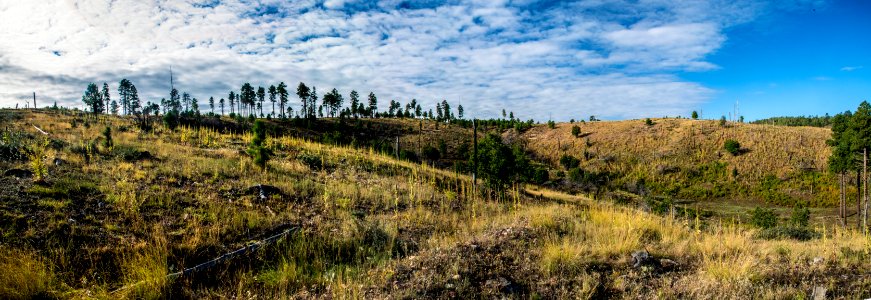 20190927-fs-lsc-0175 49751984271 o