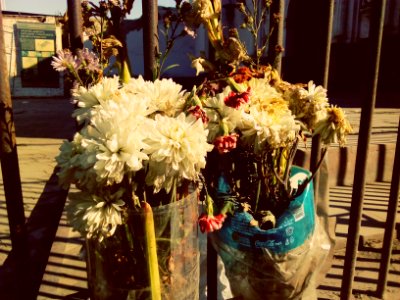 Flores marchitándose