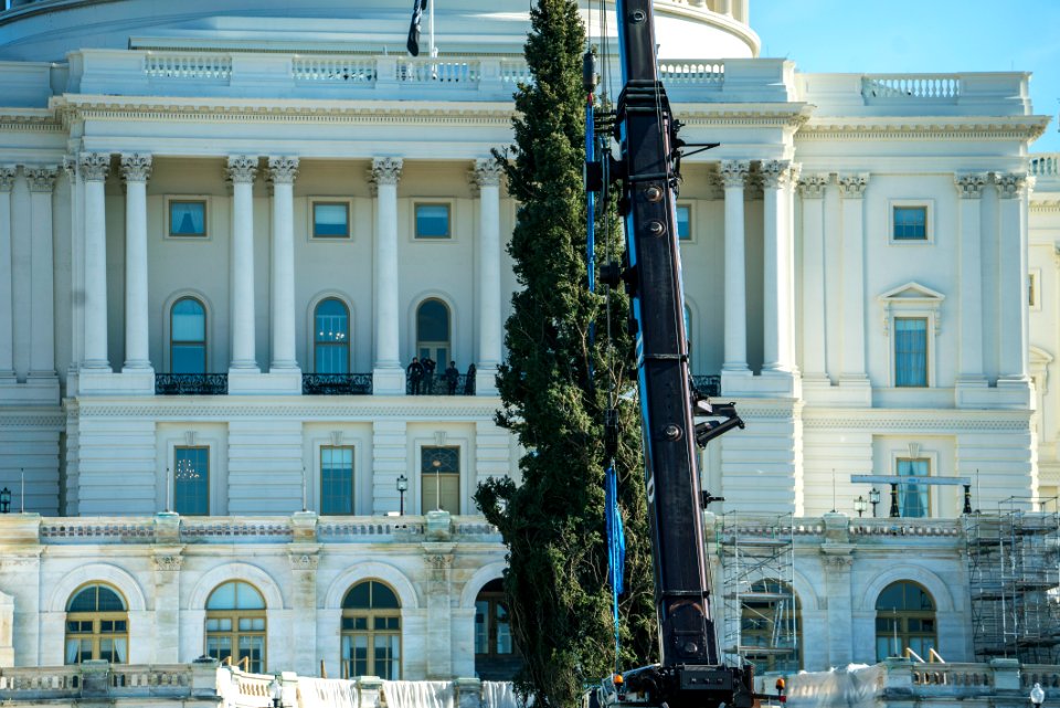 20191125-FS-WashingtonDC-TEF-034