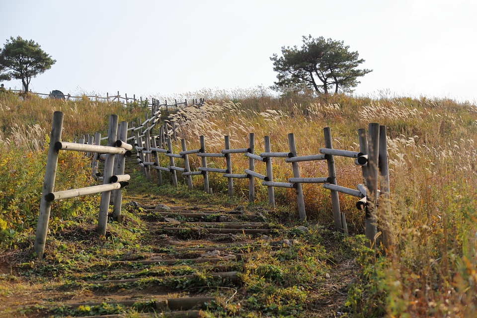 Meadow pathway sidewalk