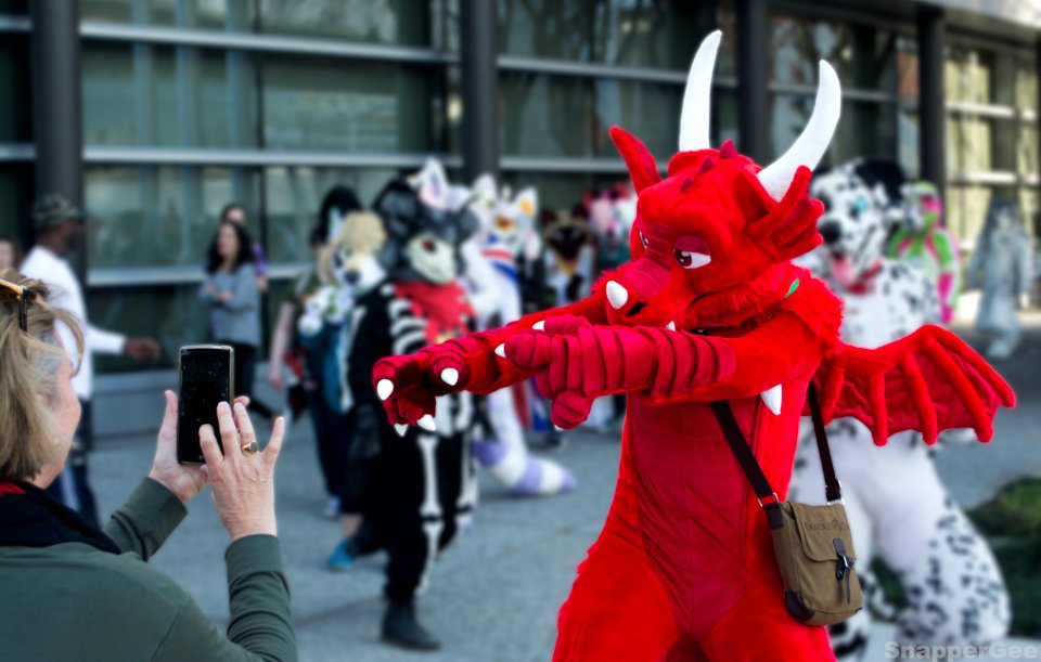 Capturing a Dragon