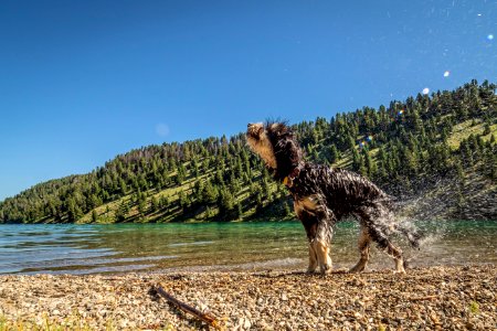 20180711-FS-Beaverhead-PJK-3651 photo