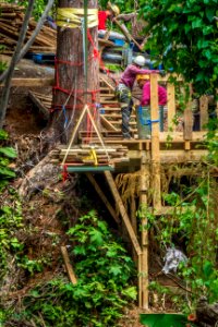 20180322-FS-Yunque-PJK-017
