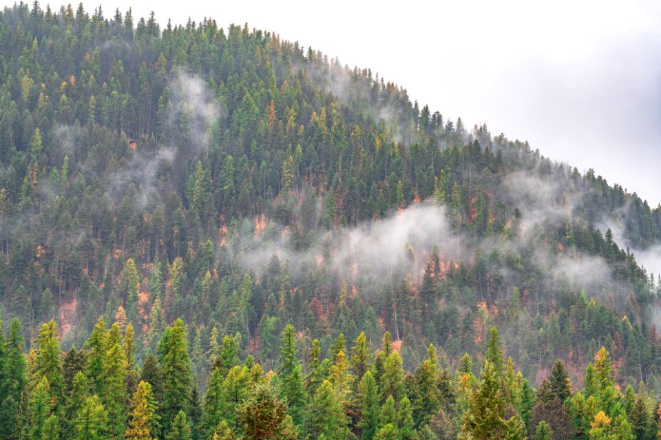 20190329-FS-FlatheadNF-YFYF-108