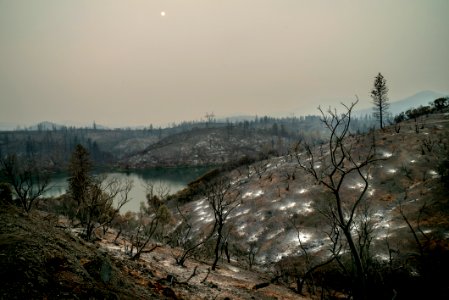 180810-Shasta-CMR-0080