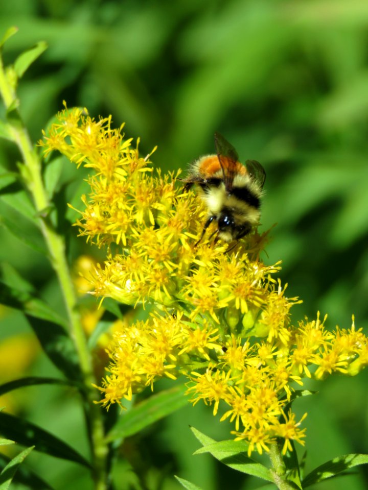 20180906-FS-Superior-SAR-004