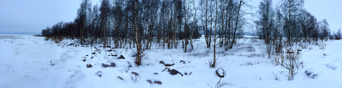 20160124 115728233 iOS
