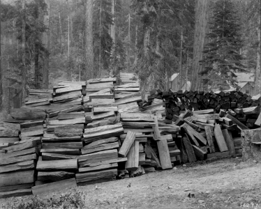 1931XXXX-FS-California-WWA-014277