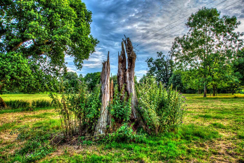 Killerton
