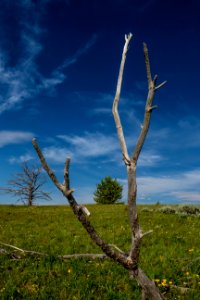 20180710-FS-Beaverhead-PJK-2492