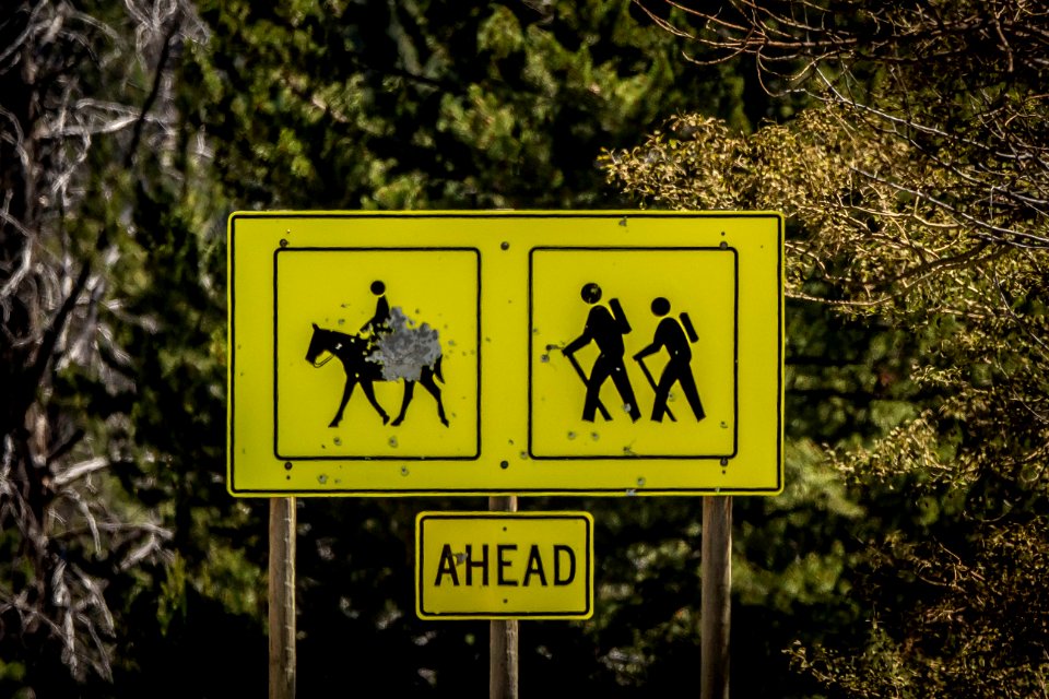 20180712-FS-Beaverhead-PJK-3421