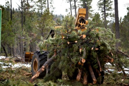 20181204-fs-kaibab-lsc-0380 32205767297 o