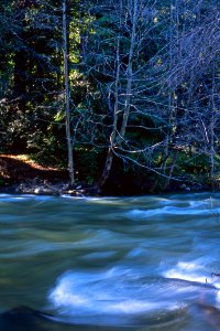 2002XXXX-FS-Los Padres NF-Big Sur-TP-002