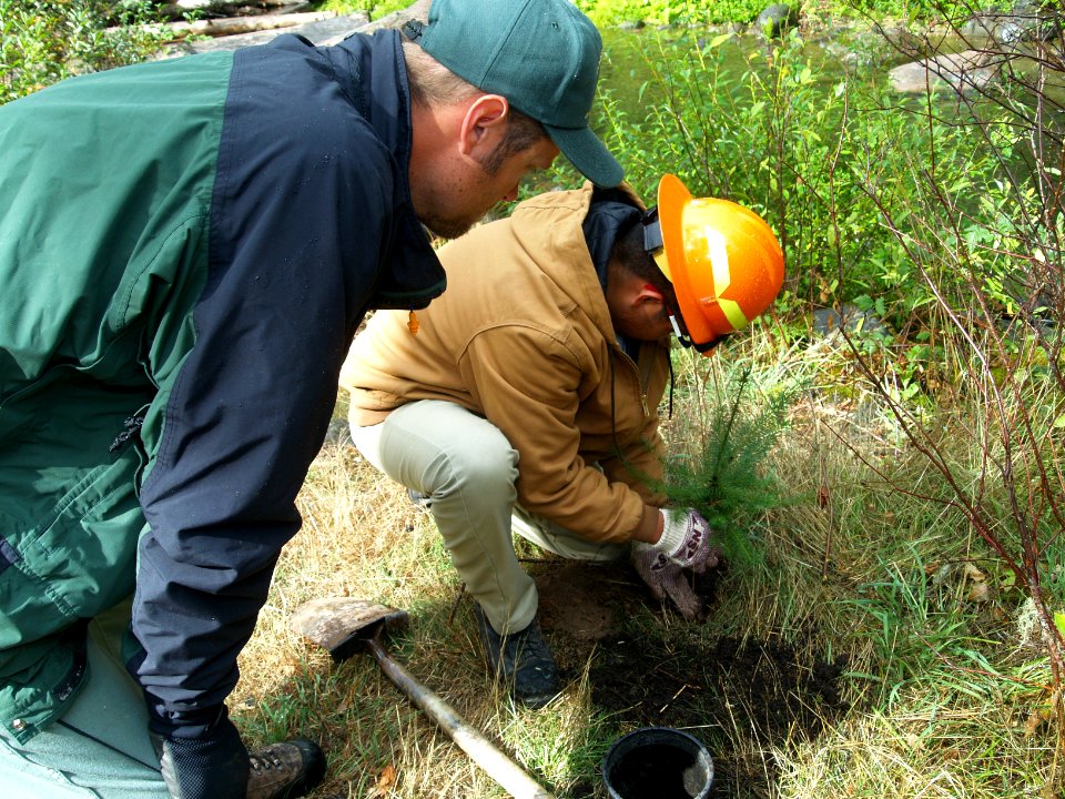 090929-FS-Timber Lake-Timber LakeRiparianRestoration-001