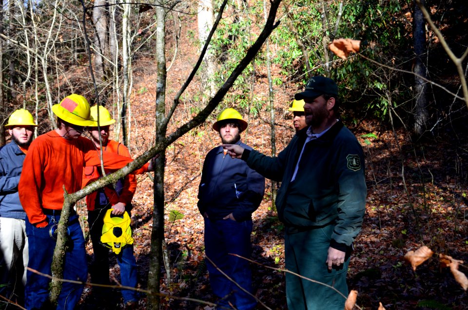 171201-FS-Oconaluftee-OconalufteeTimberCruising-003
