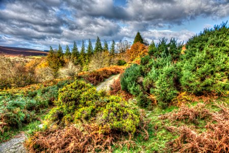 Dartmoor