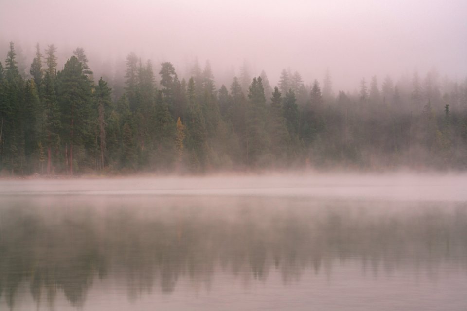 20190329-FS-FlatheadNF-YFYF-001