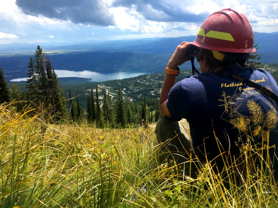 WhitebarkPineconeAssessment-Flathead-Jun2020-001