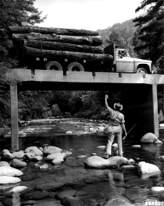 196007XX-FS-Nantahala-DOT-494692