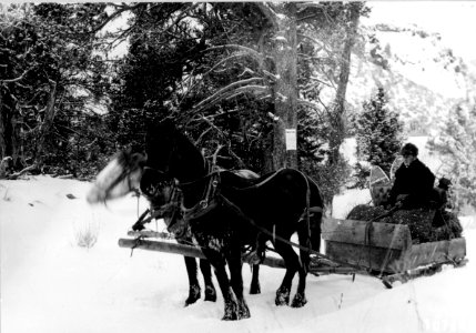 1912XXXX-FS-Shoshone-SR-10748a