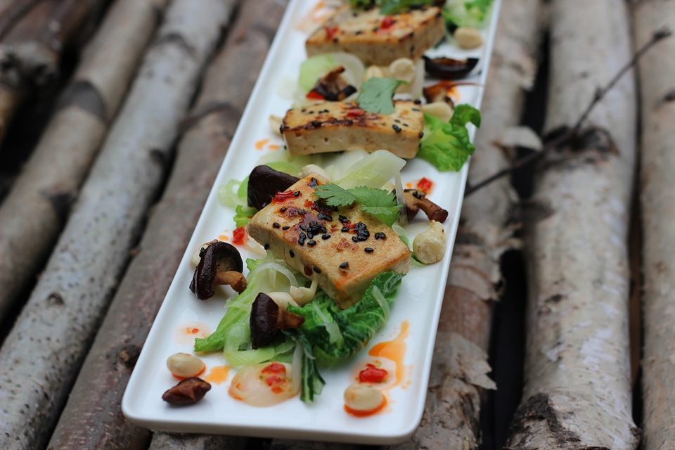 Tofu food Free photos