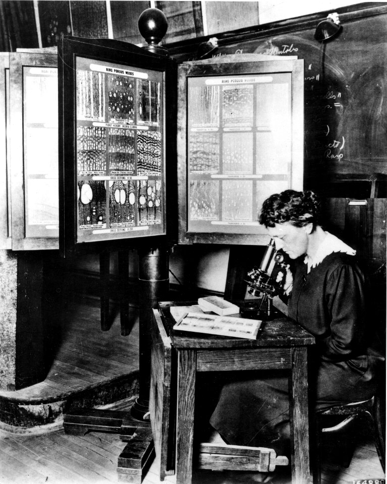 1921XXXX-FS-Forest Product Lab.-XX-16488