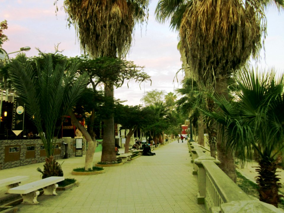Boulevard de Huacachina