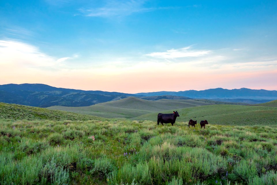 20180710-FS-Beaverhead-PJK-1238