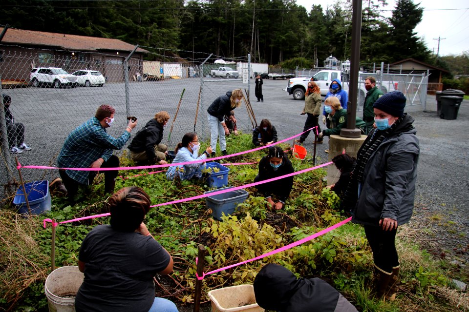 tlingitpotatoharvest-TongassNF-2020005-001