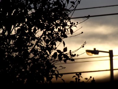 Atardecer de ciudad 2