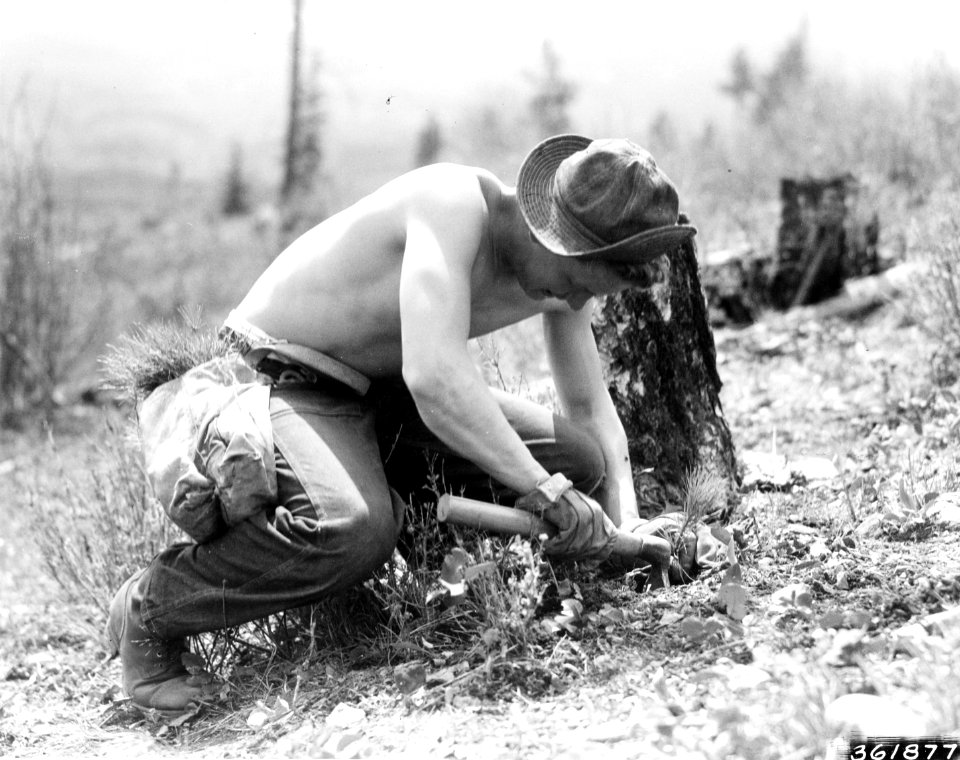 193805XX-FS-Lolo-KDS-361877