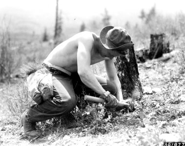 193805XX-FS-Lolo-KDS-361877