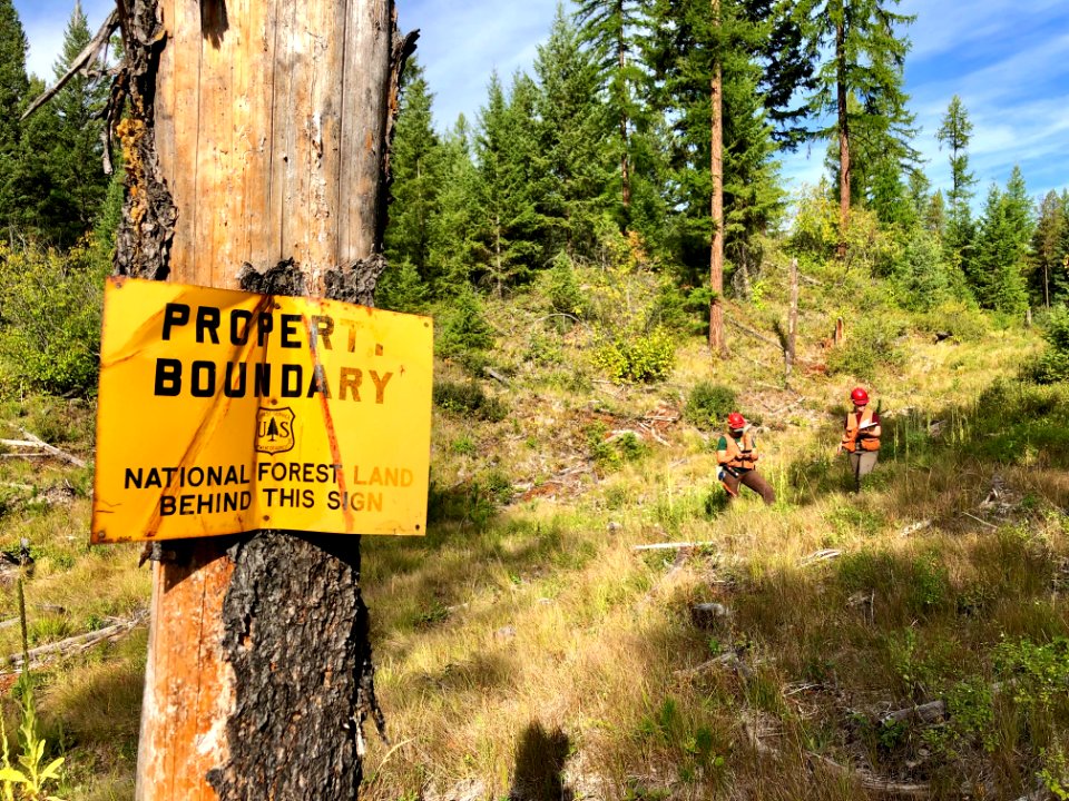 SilviculturistCrew-Flathead-May2020-001