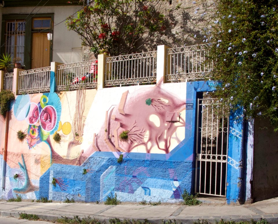 DSC 1024