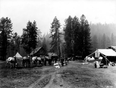 1929XXXX-FS-Lolo-KDS-331139