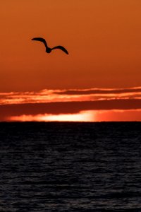 20180228-FS-LSC-0058