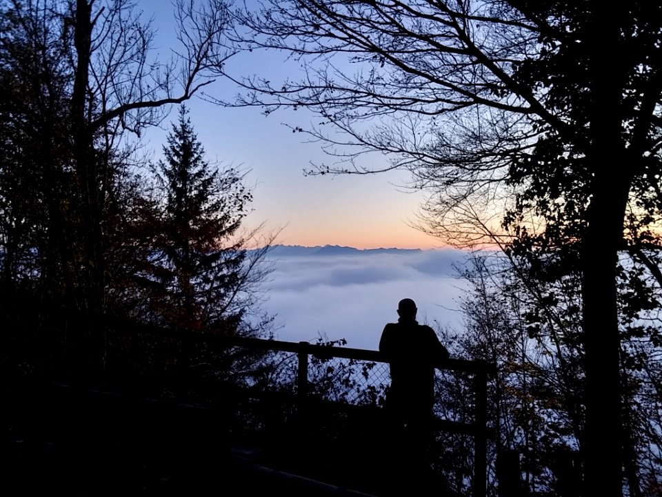 Philosopher on Uetliberg
