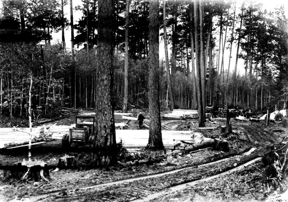 194209XX-FS-Chippewa-PZ-423382