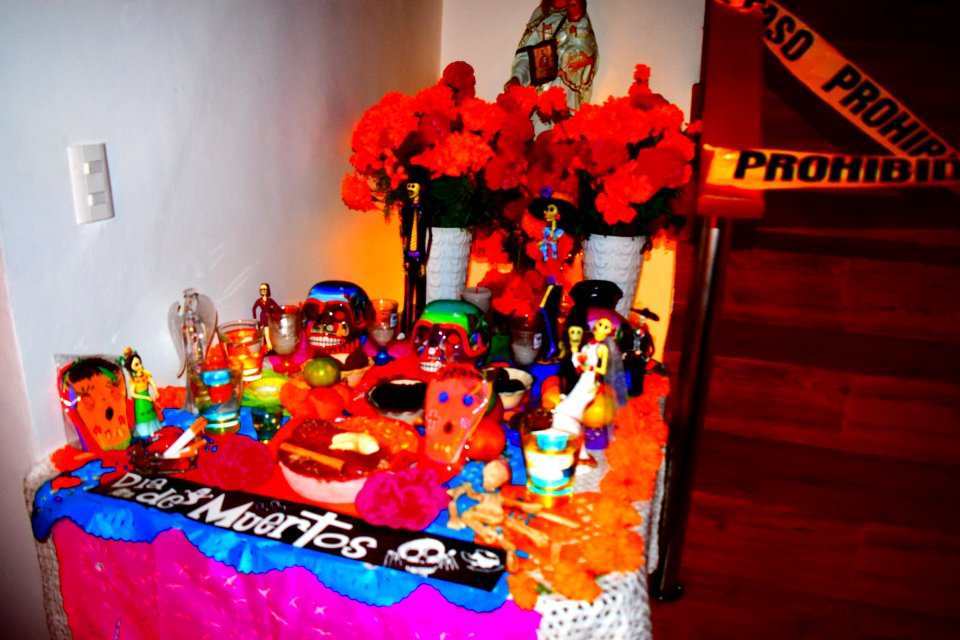 DSC 0371