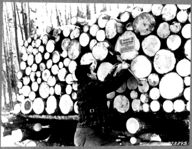 193811XX-FS-White Mountain-HEA-37339