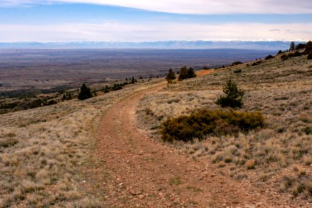 20200504 Pryor Mtns 165